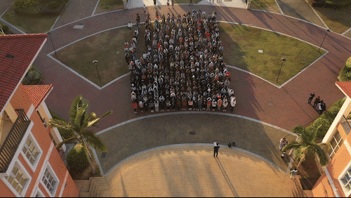 5de87966a9e85.gif